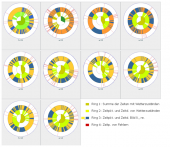 Überblick der Aktivitäten der SchülerInnen als ActivityClocks im Vergleich.